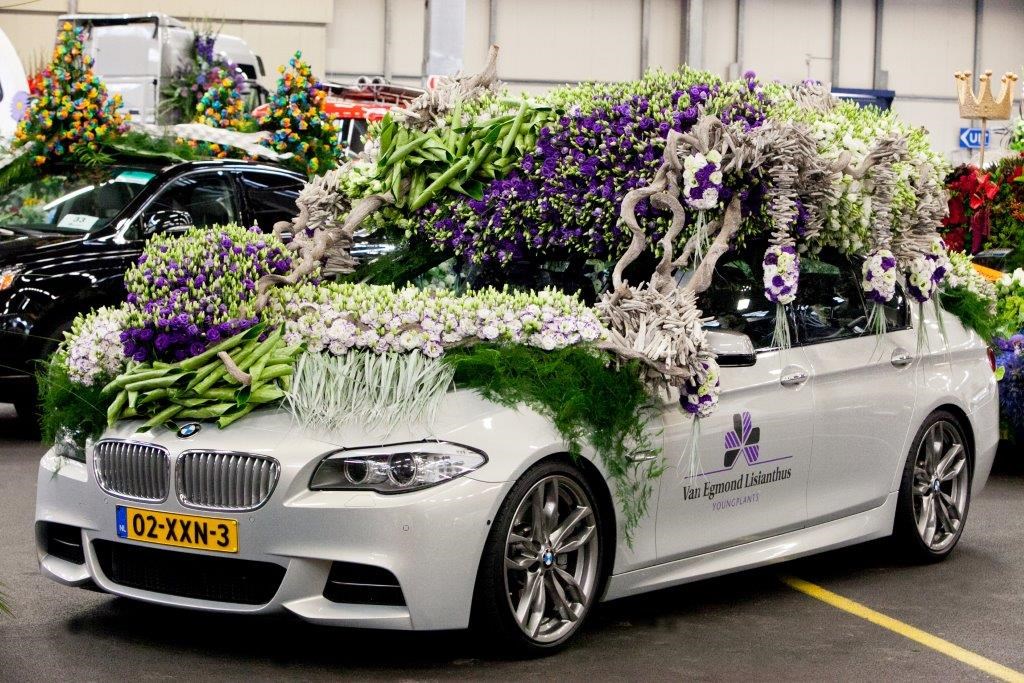 Van Egmond Lisianthus