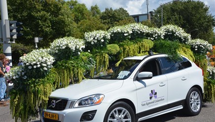 Flowerparaderijnsburg 48