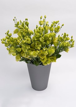 Lisianthus Rosanne Green 2 (1)