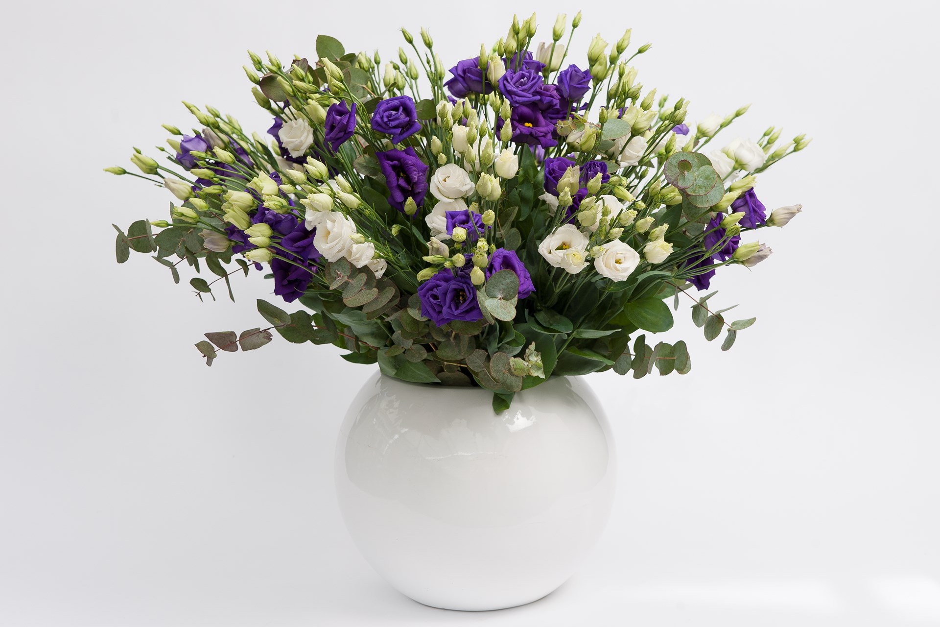 250472 - Rosita 2 Pink Imp. - Van Egmond Lisianthus