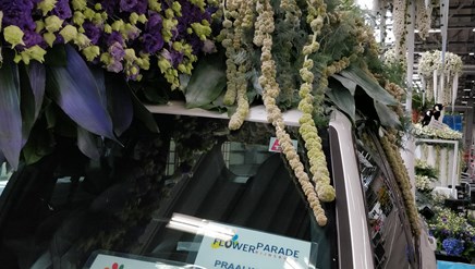 Prijzen-praalwagen-Van-Egmond-Lisianthus