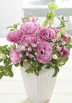 Lisianthus -Robella -Clear -Pink