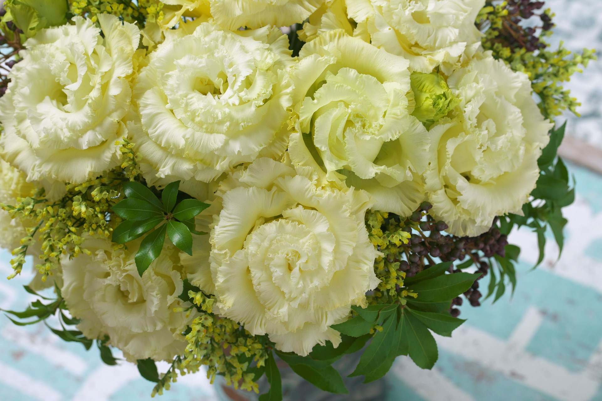 Van Egmond Lisianthus
