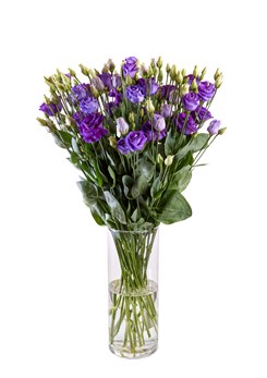 Rosita _4_Blue _II_181_vaas [1]